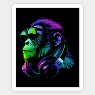 Monkey DJ Magnet